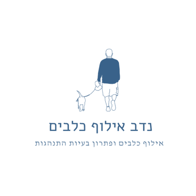 nadav | dog trainer
